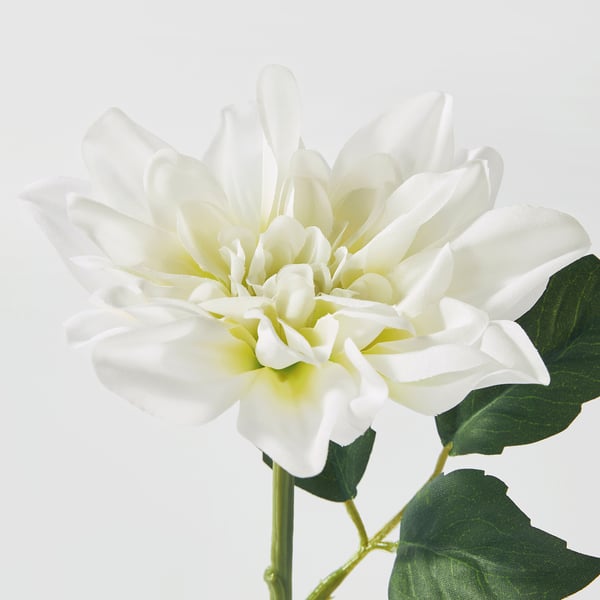 Primeiro plano de flor branca de dahlia artificial, vibrante e realista, con exuberantes follas verdes, mostrando artesanía de alta calidade.