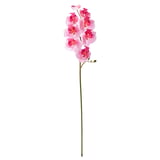 Orquídea rosa artificial. Feito de plástico reciclado, alto con múltiples flores.