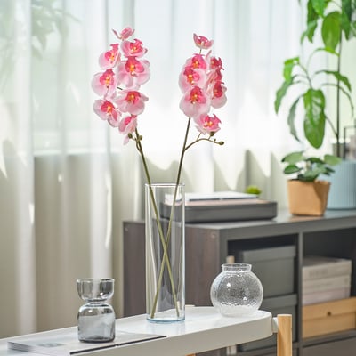 Pequeno vaso claro con flores de orquídea rosa, vaso claro máis grande e soporte de vidro redondo sobre a mesa, entre libros e plantas verdes.