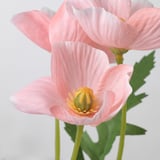 Primeiro plano de flores rosas artificiais vibrantes, mostrando pétalos realistas e estames centrais, elaborados con materiais reciclados.
