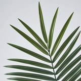 Folla verde grande, vibrante, textura realista, veas intrincadas, calidade robusta.