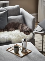 Un acolledor sofá gris SÖDERHAMN cun can durmido, unha bandexa de madeira cunha cafeteira e unha cunca e un portátil nunha pequena mesa ao seu lado.