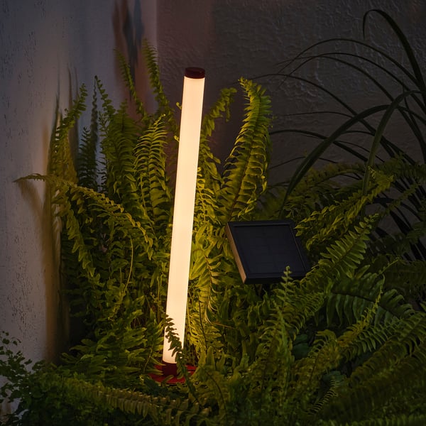 Un xardín de fento montado na parede iluminado por unha luz vertical, alimentado por un panel solar.