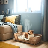 Unha acolledora cama para cans feita de ratán natural con pequenos pés antideslizante para estabilidade, colocada preto dun cómodo sofá con almofadas e unha manta.