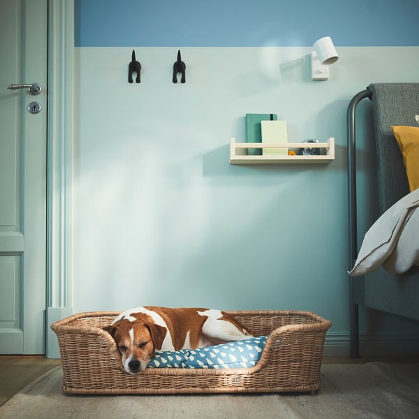 Unha acolledora cama para cans feita de ratán cun coxín, proporcionando un lugar cómodo para que as mascotas poidan relaxarse.