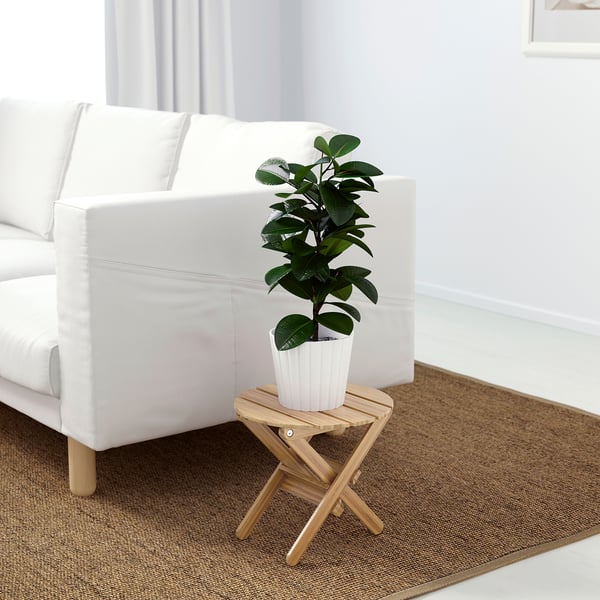 Pequena planta en vaso nun soporte de madeira branca e bambú xunto a un sofá branco sobre unha alfombra marrón.