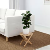 Pequena planta en vaso nun soporte de madeira branca e bambú xunto a un sofá branco sobre unha alfombra marrón.