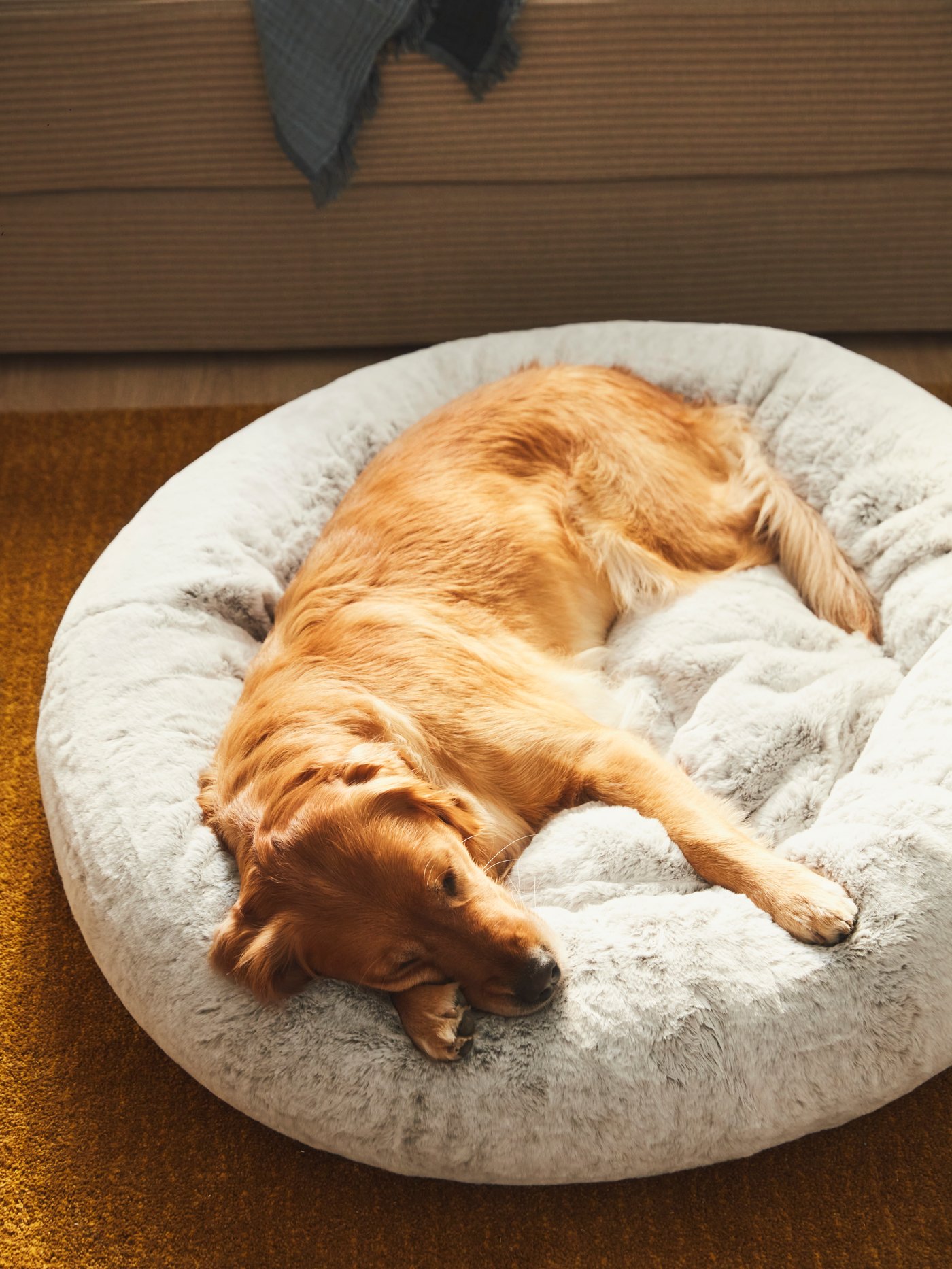 Una cama para mascotas UTSÅDD gris claro y sobre ella un perro grande.