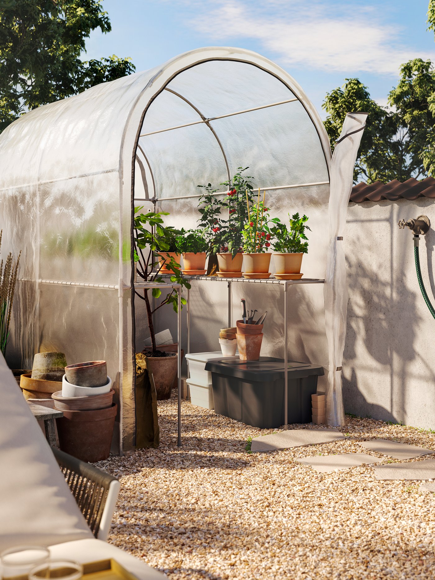 Een transparante witte ASPAREN kas met afgeronde hoeken staat in een zonnige tuin. Binnenin staan terracottapotten gevuld met kruiden.