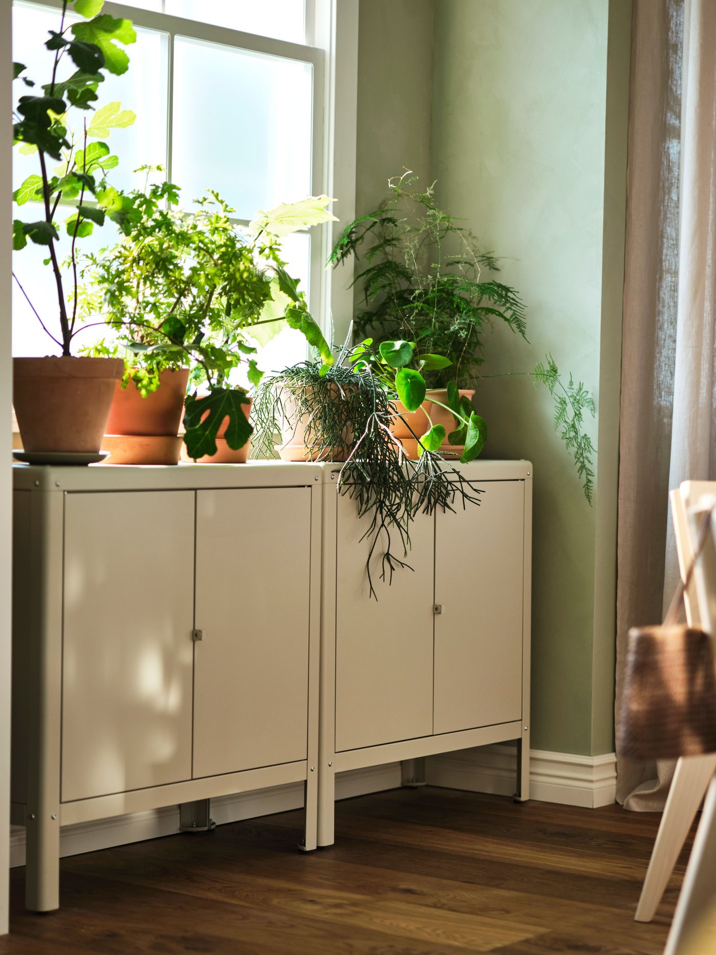 שני ארונות KOLBJÖRN בז' מפלדה בציפוי אבקה ניצבים מול חלון ועליהם יש צמחים שונים בעציצים.