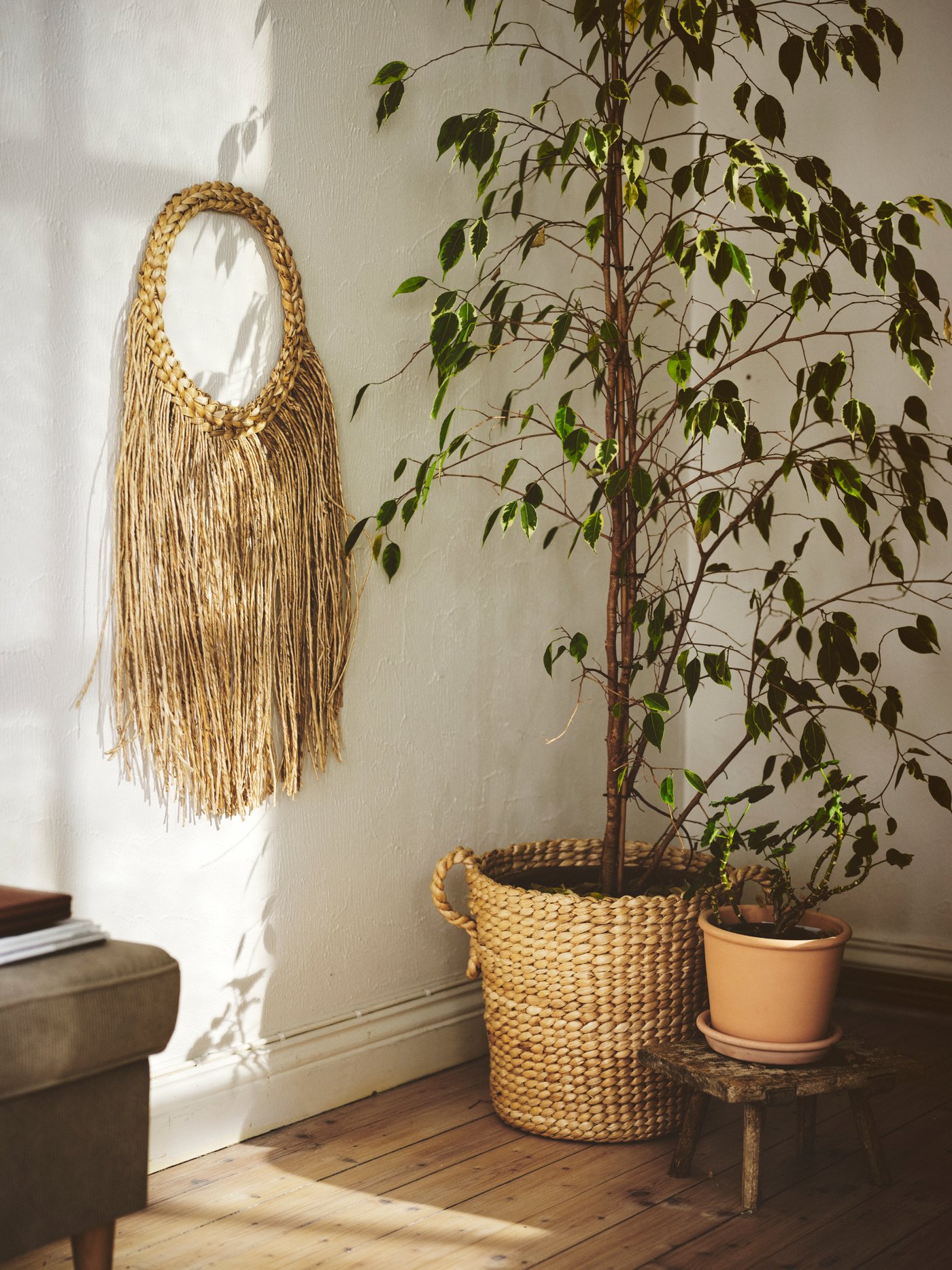 Et makramé-ophæng på en væg, hvor lyset strømmer ind. 