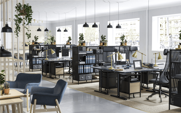 A business office space filled with plants on top of BEKANT black mesh shelving units and black sit stand desks.