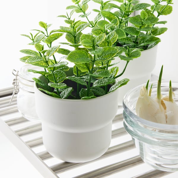 Close-up of two green FEJKA artificial plants on a shelf.