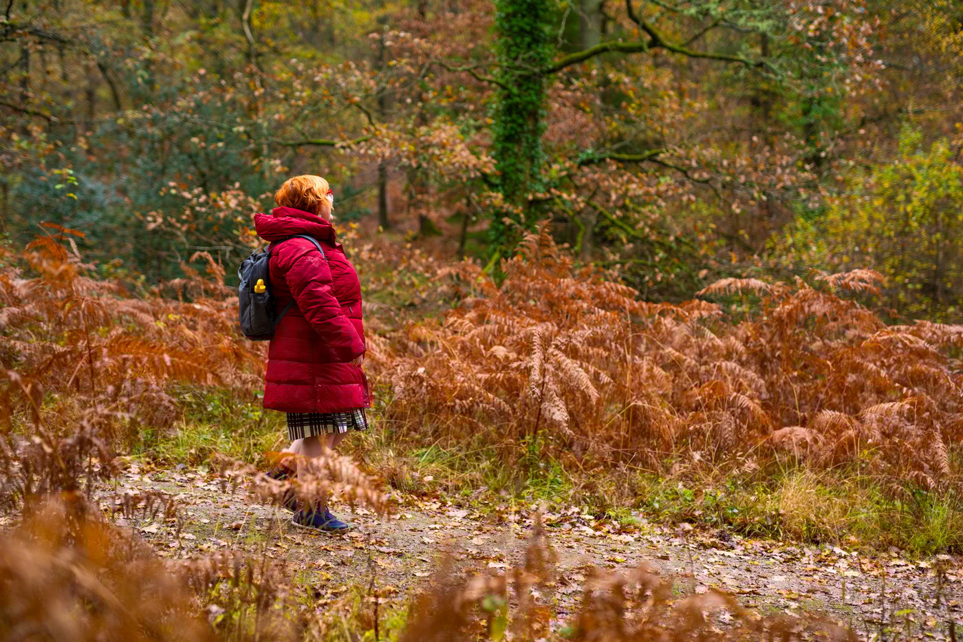 Woman in a bright red jacket taking a walk in a forest during autumn, surrounded by dry leaves.