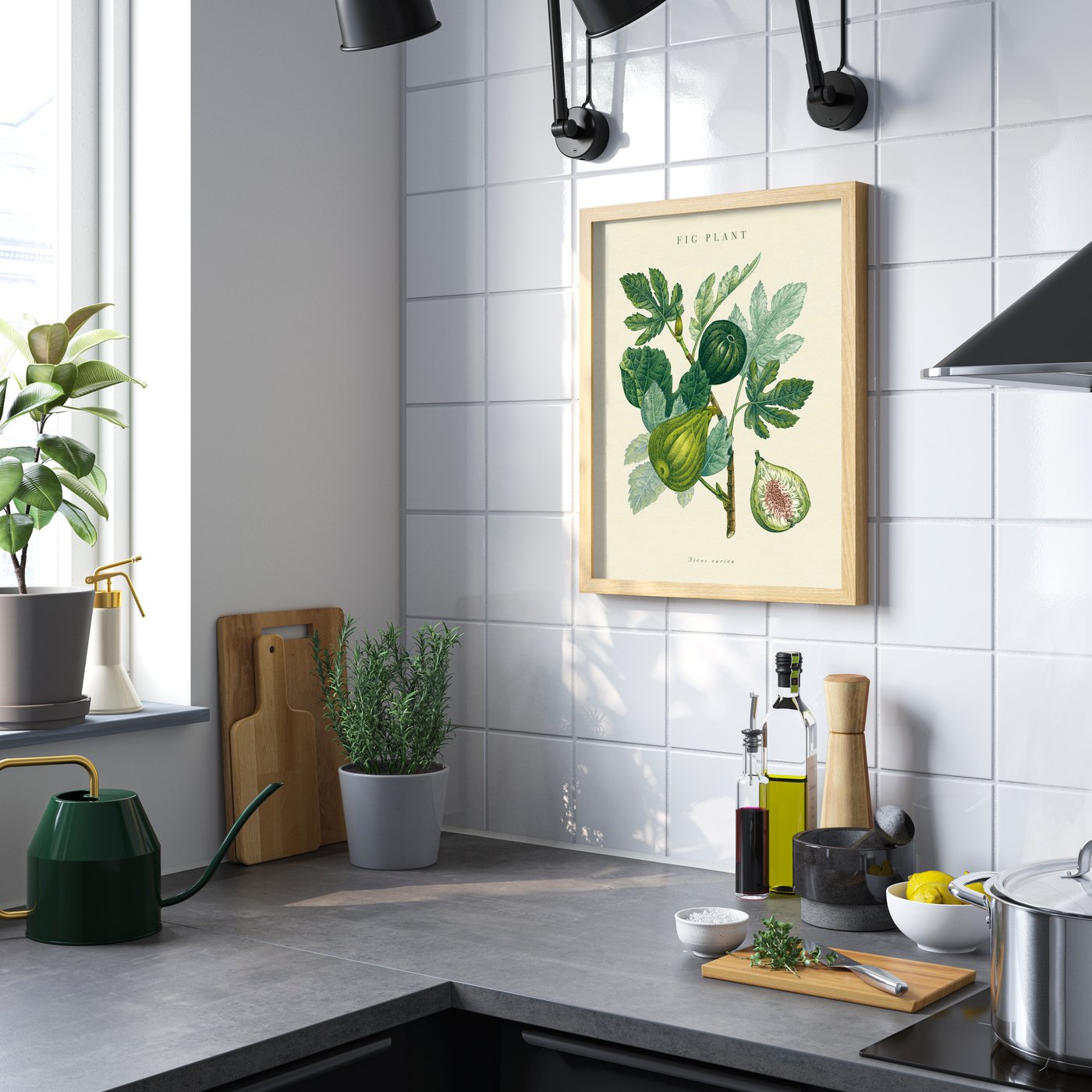 A fig plant BILD poster