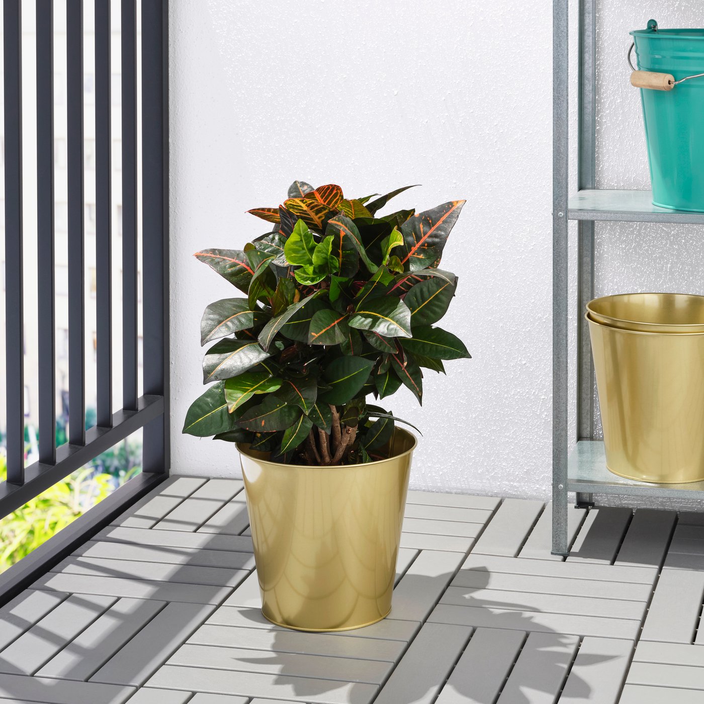 A brass-colour DAIDAI plant pot outside