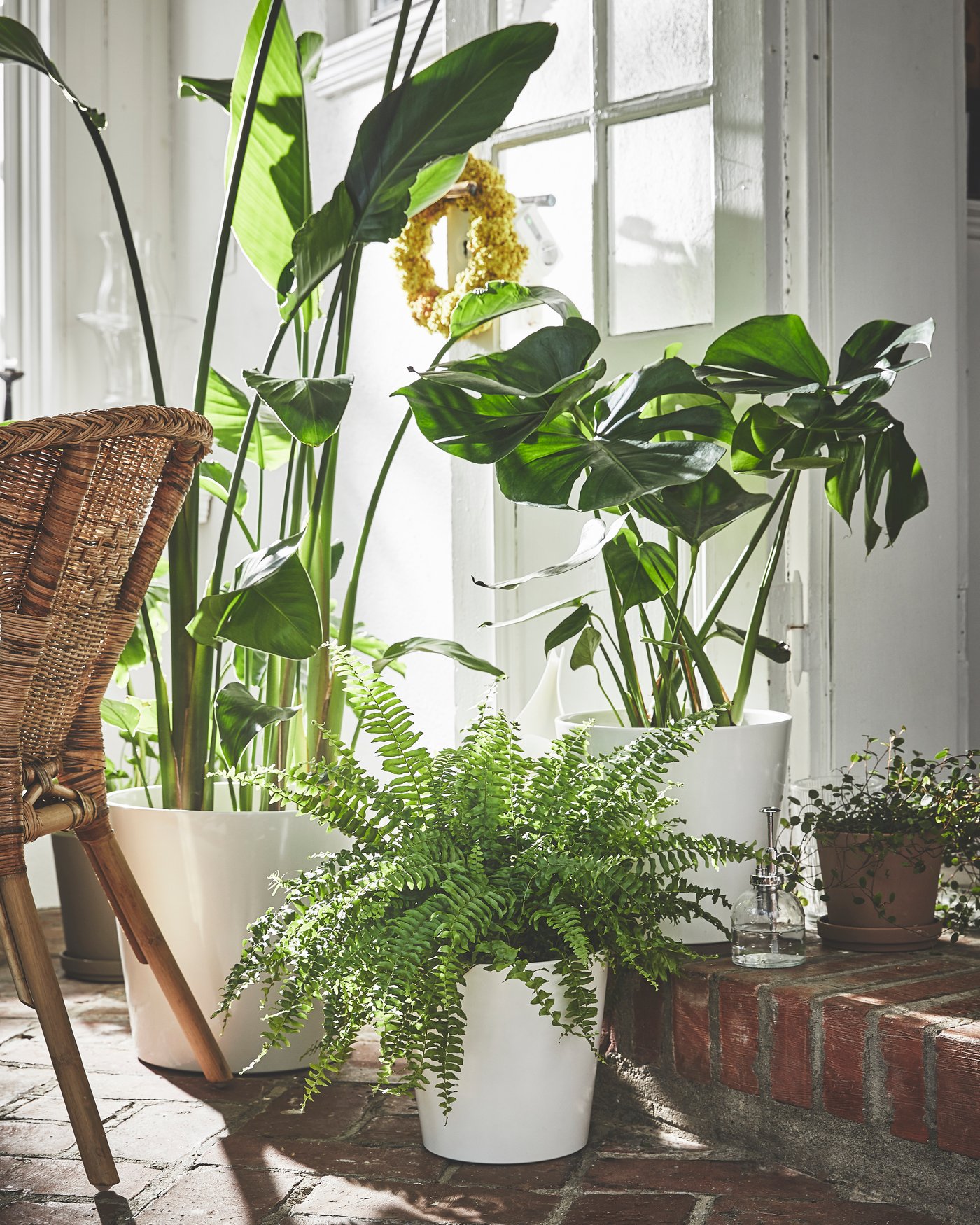 A collection of plants sit in a sunroom. 