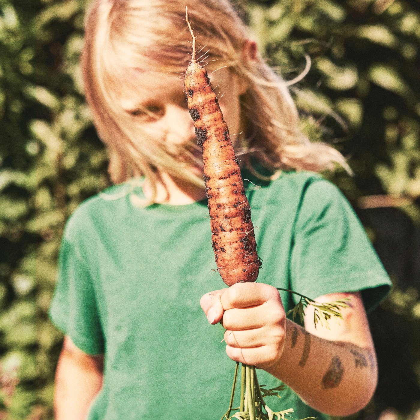 A child holds up a carrot that has just been picked from the garden.