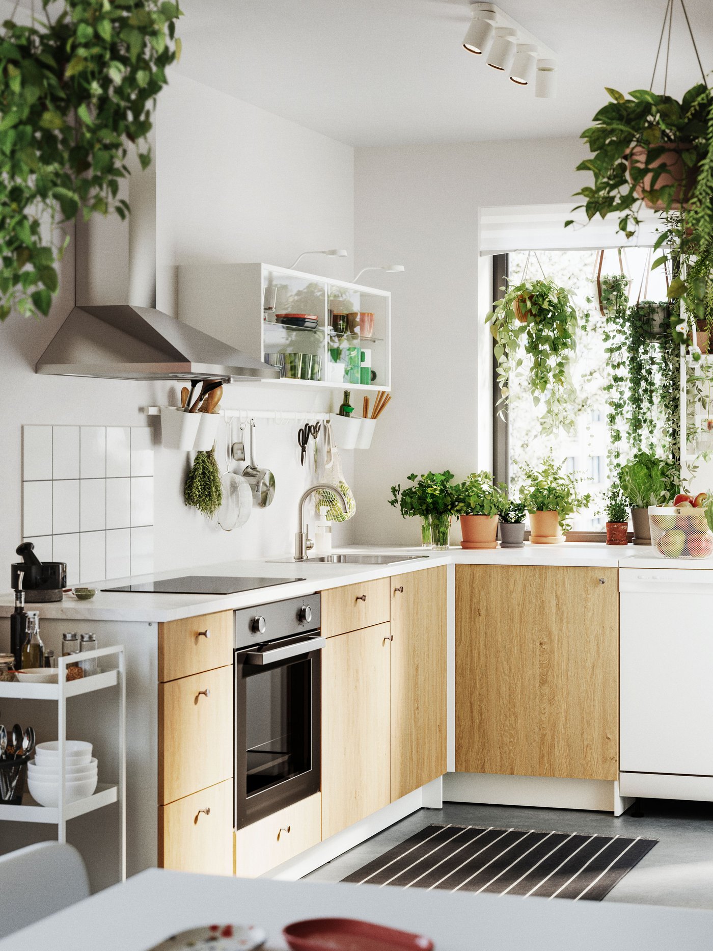 Es ist eine moderne Küche mit einem KNOXHULT Unterschrank mit Türen und einer Front in warmer Holzoptik zu sehen, umgeben von Grünpflanzen.