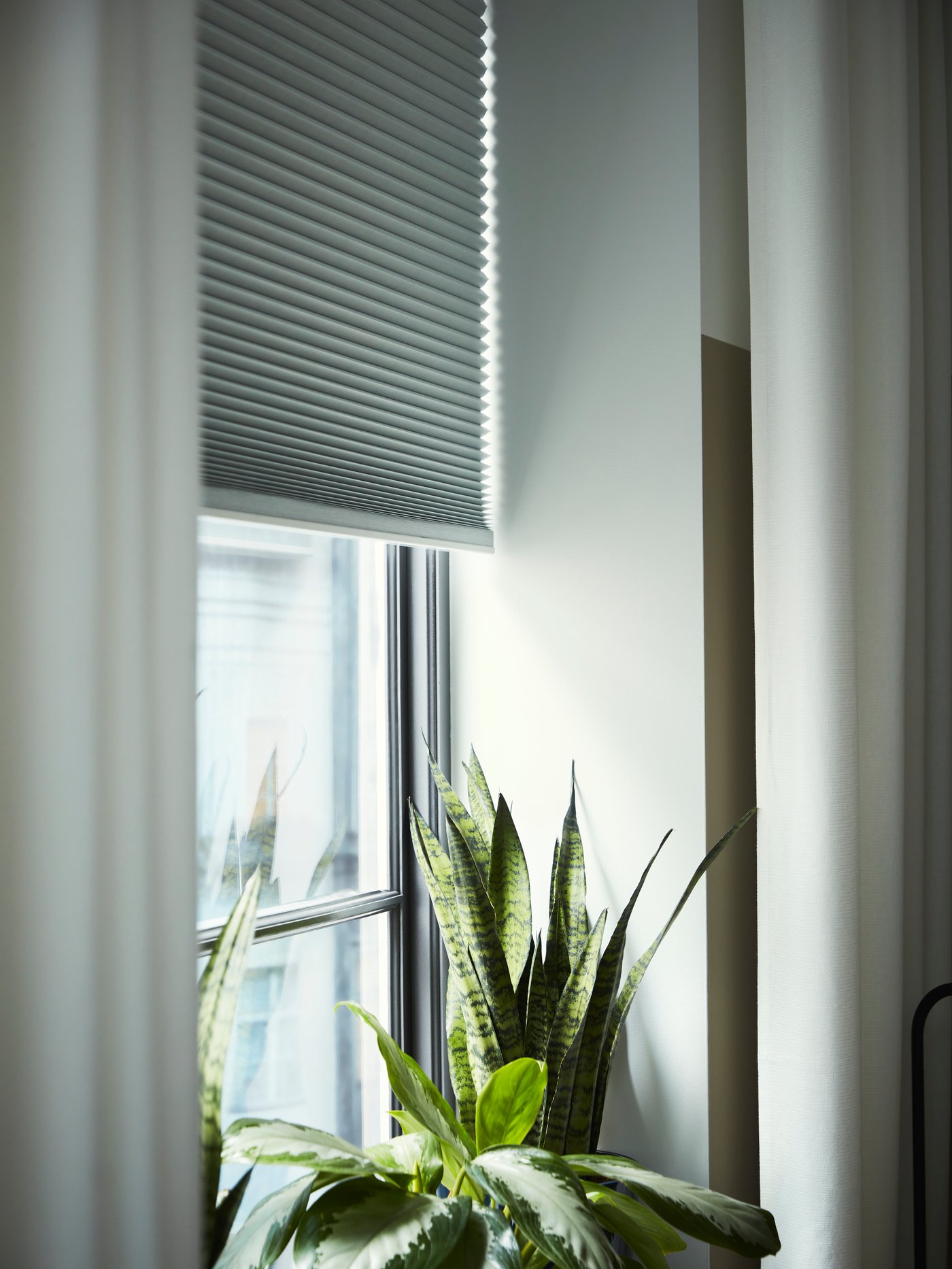 Una tenda alveolare oscurante TREDANSEN bianca è chiusa a metà davanti a una finestra con tende MOALINA bianche.