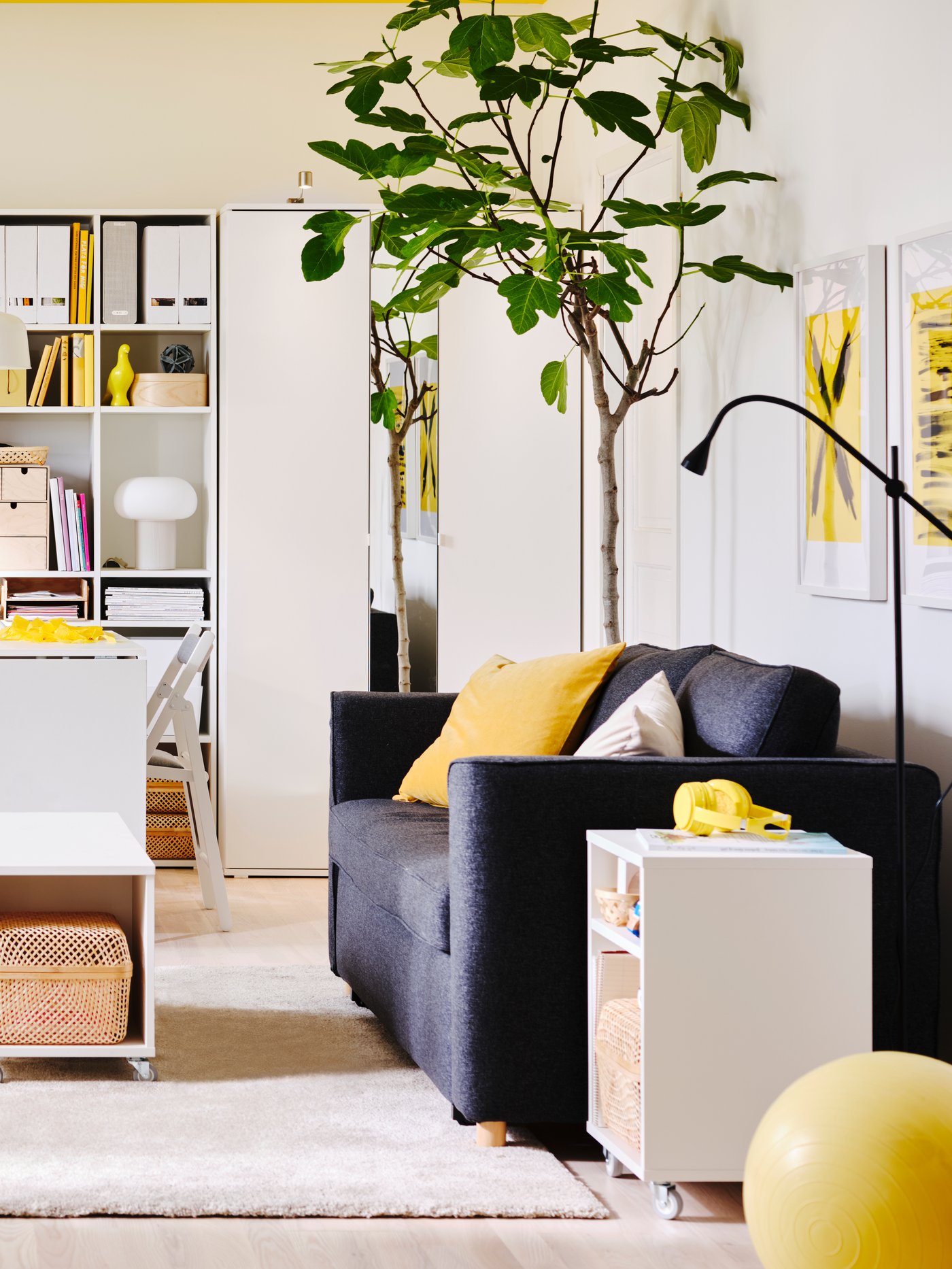 A bright room with a dark sofa-bed, yellow accents and a large green tree in the space.