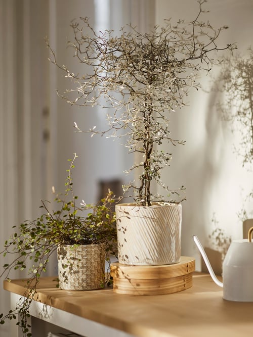 Huonekaluliike IKEA | Verkkokauppa - IKEA