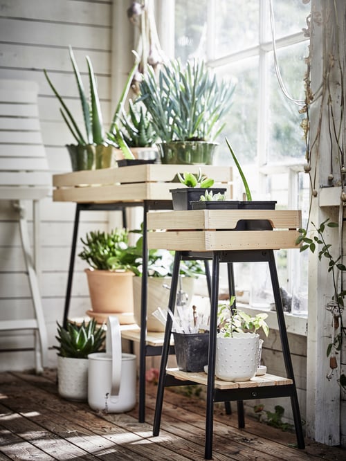 Balcony with two VANILJSTÅNG plant stands with multiple potted plants and a FÖRENLIG watering can, on top.