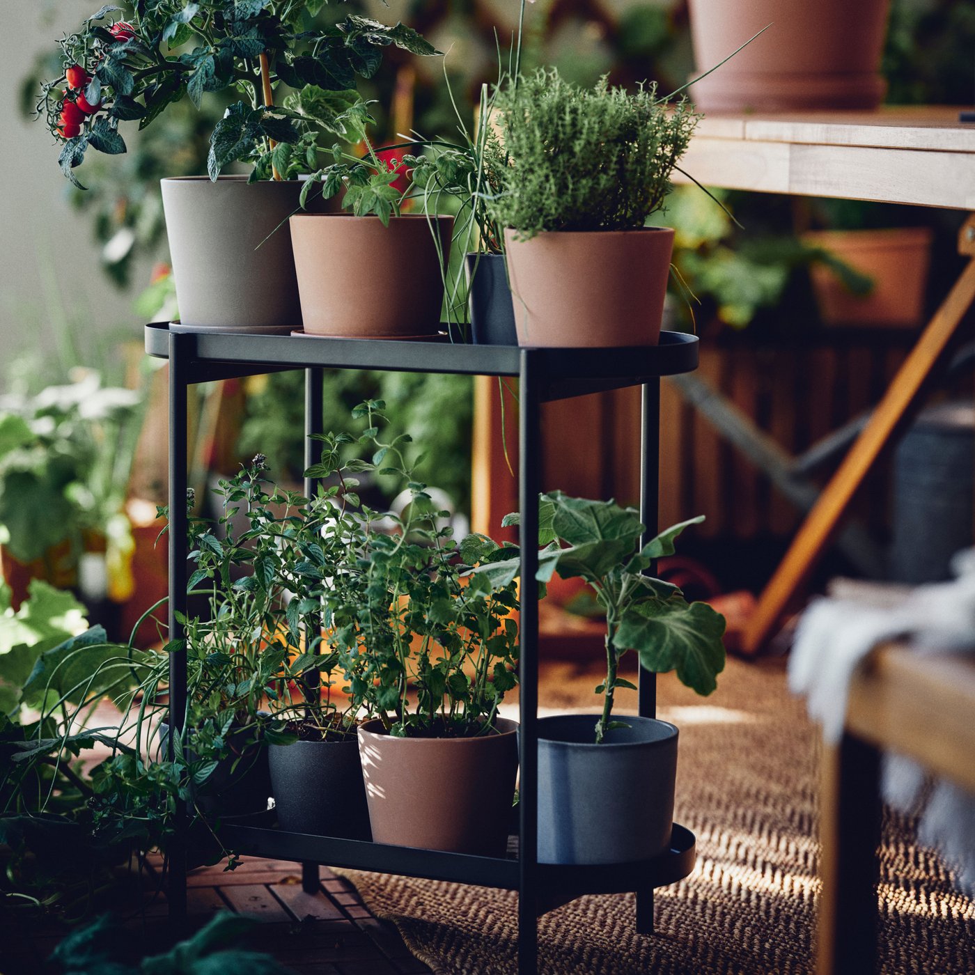 A light brown stained ASKHOLMEN trellis outside