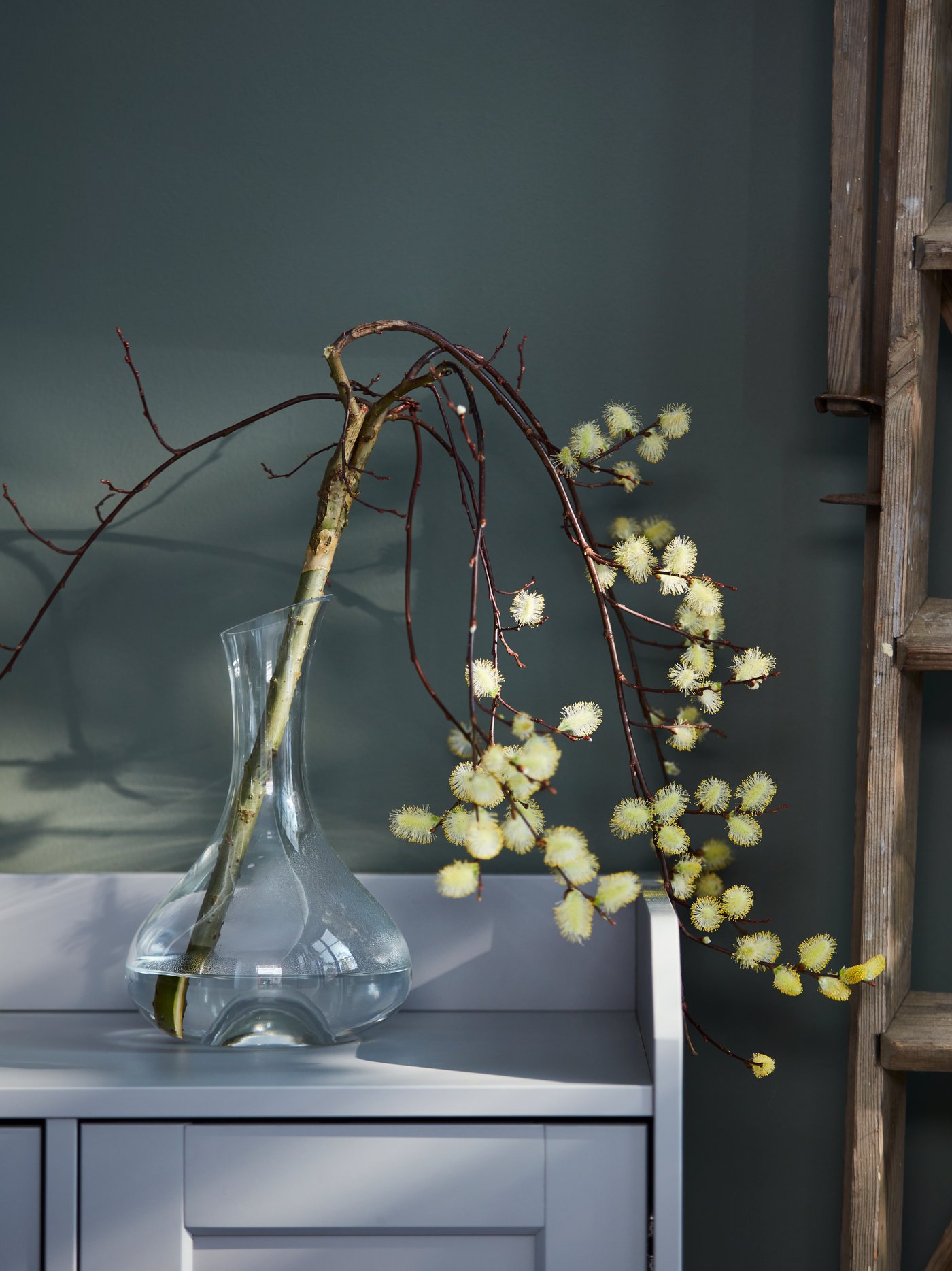 A lone, blooming, sculptural branch in a STORSINT clear glass carafe, in turn is standing on top of a grey HAUGA sideboard.