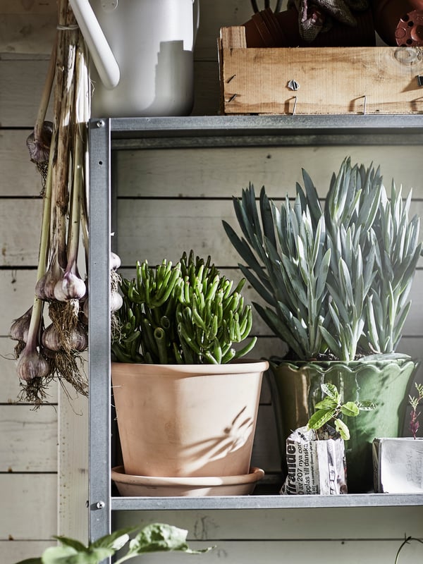 Close-up image of a metal HYLLIS shelf with plants in plant pots sitting on the shelf.