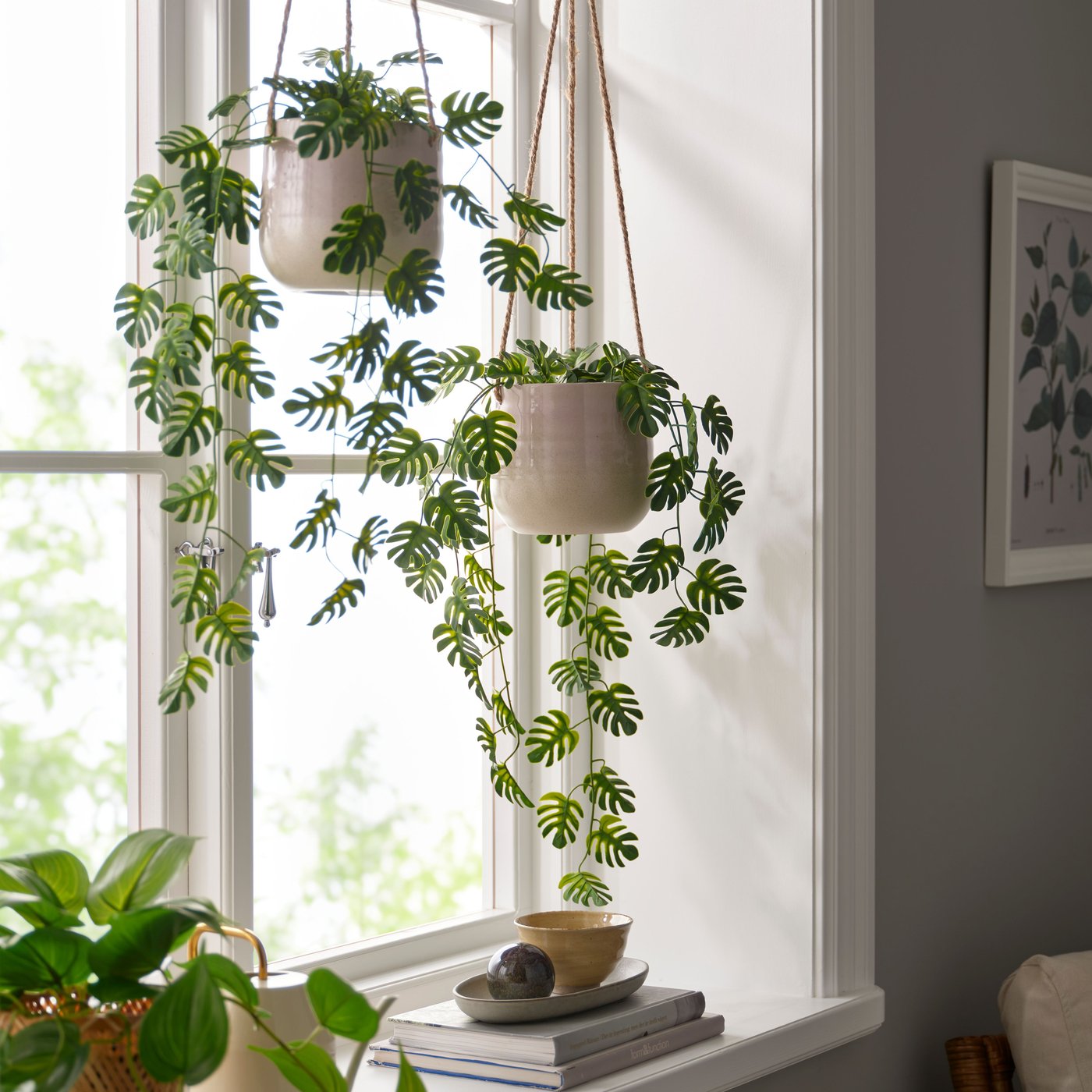 Grüne Hängepflanzen in Übertöpfen vor einem Fenster, dekorativ arrangiert.