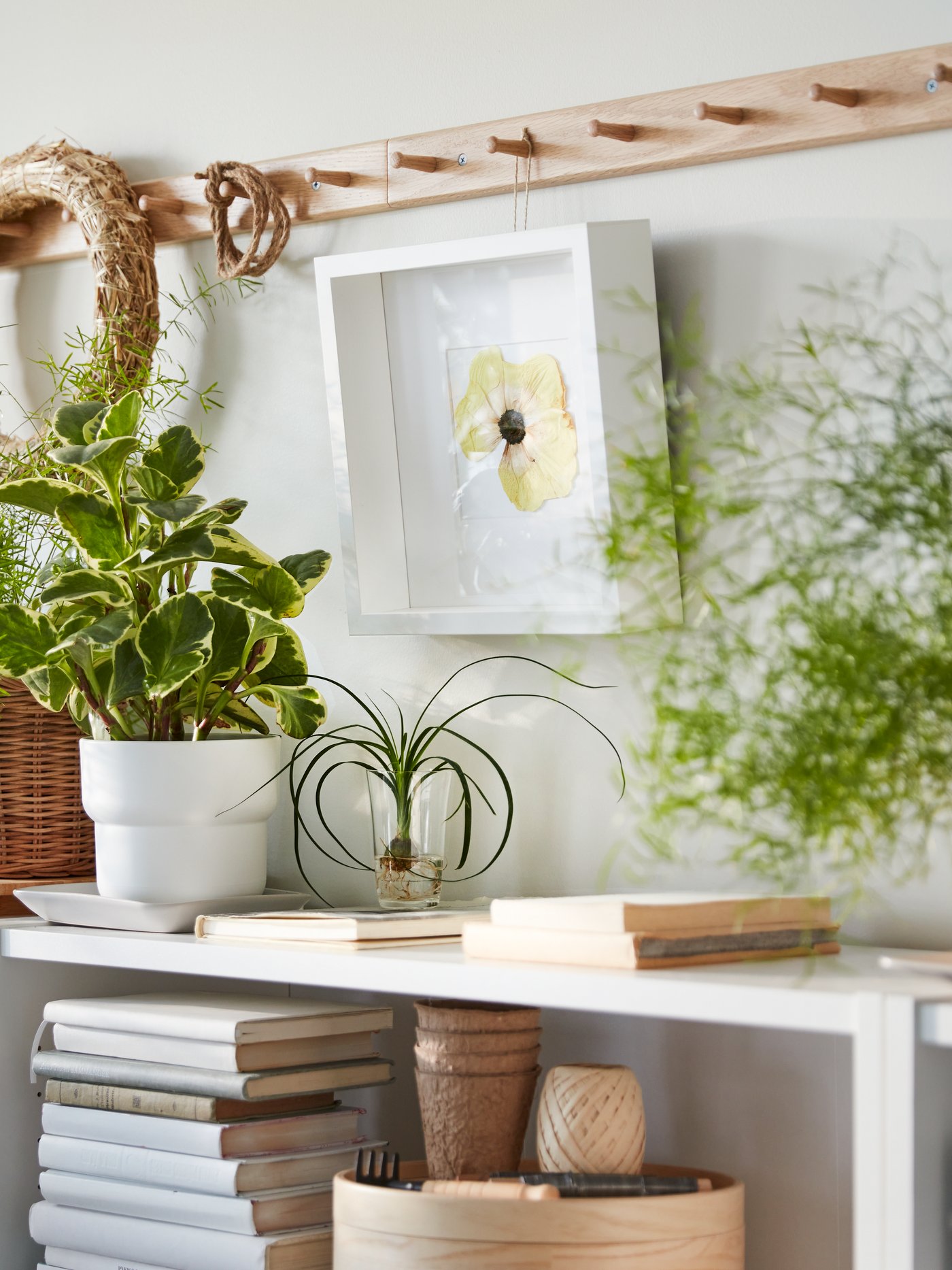 Librerías BILLY blancas con libros y varias plantas. De un perchero de roble HÖVOLM cuelga un marco SANNAHED blanco.