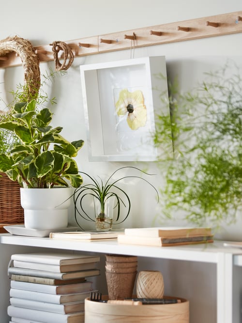 Bibliothèques blanches BILLY avec des livres et de multiples plantes. Une rangée de patères en chêne HÖVOLM et un cadre SANNAHED blanc sont suspendus au-dessus.