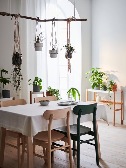 Dining room featuring a rectangular table with 4 chairs made of solid birch, placed next to 2 beige plant stands. 