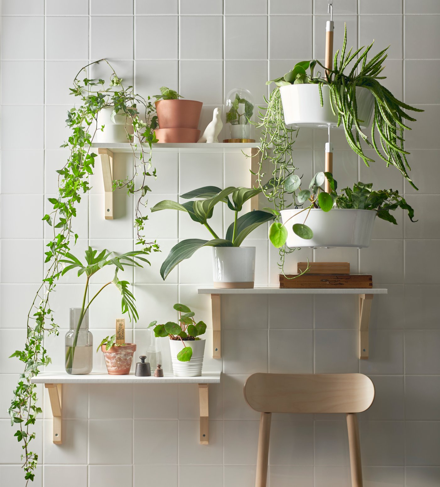 Planten & potten IKEA