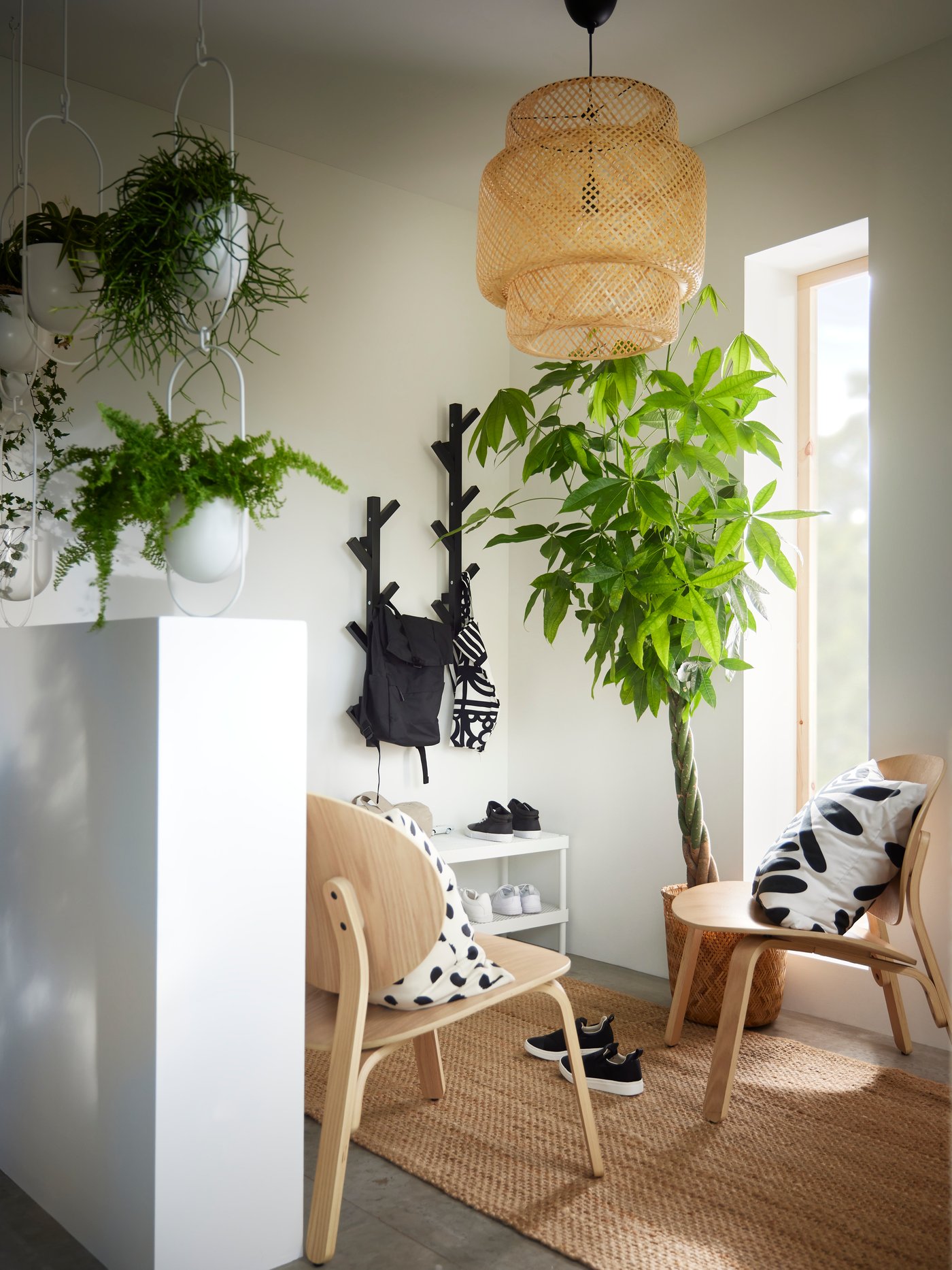 An in/outdoor white CHILISTRÅN hanging planter in the hallway