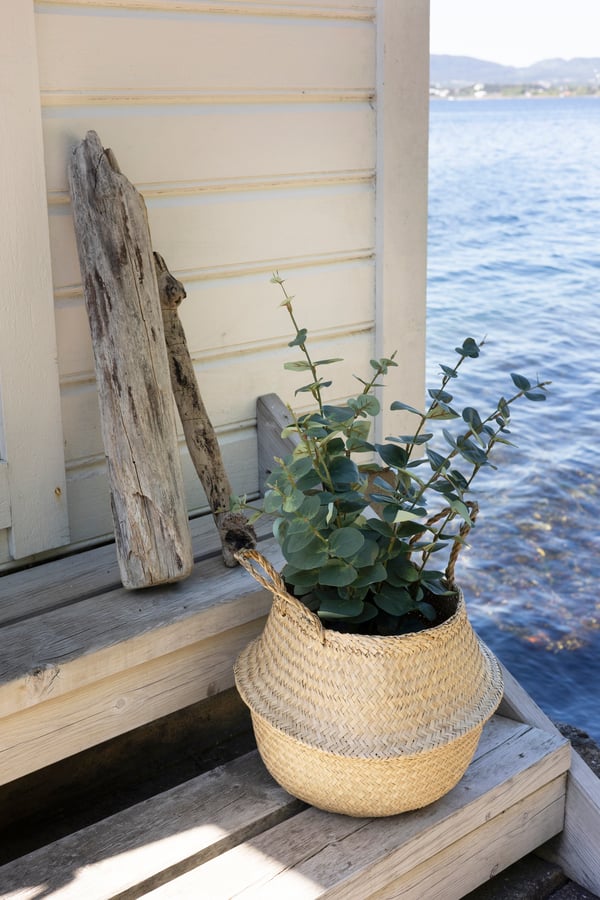 An in/outdoor eucalyptus FEJKA artificial potted plant