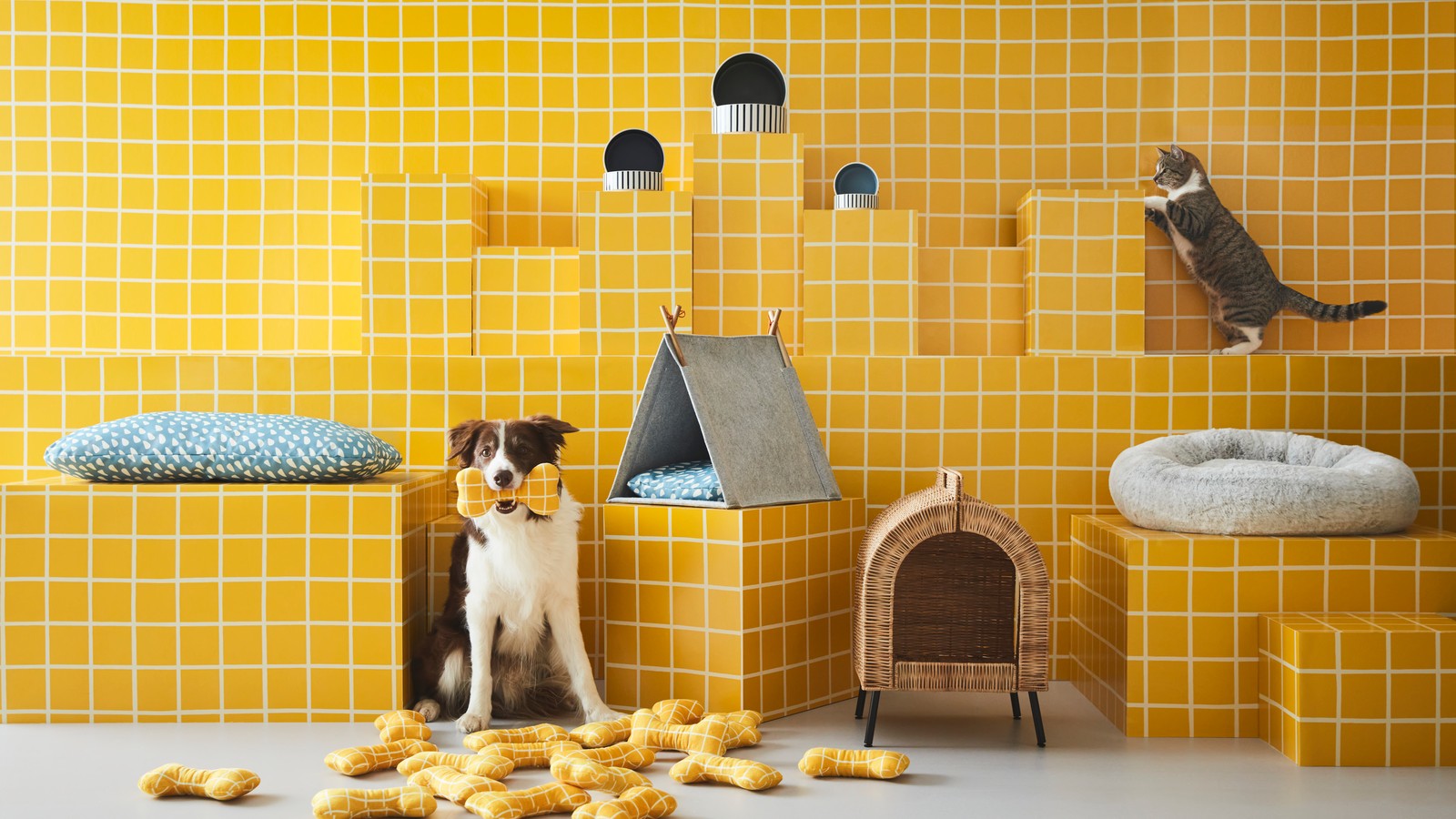 Sitemapcdatahttpswwwkedriinfodurfen Hunde Bei Ikea Reinnull