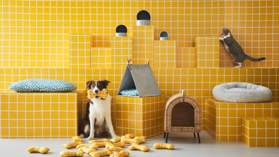 Pet products