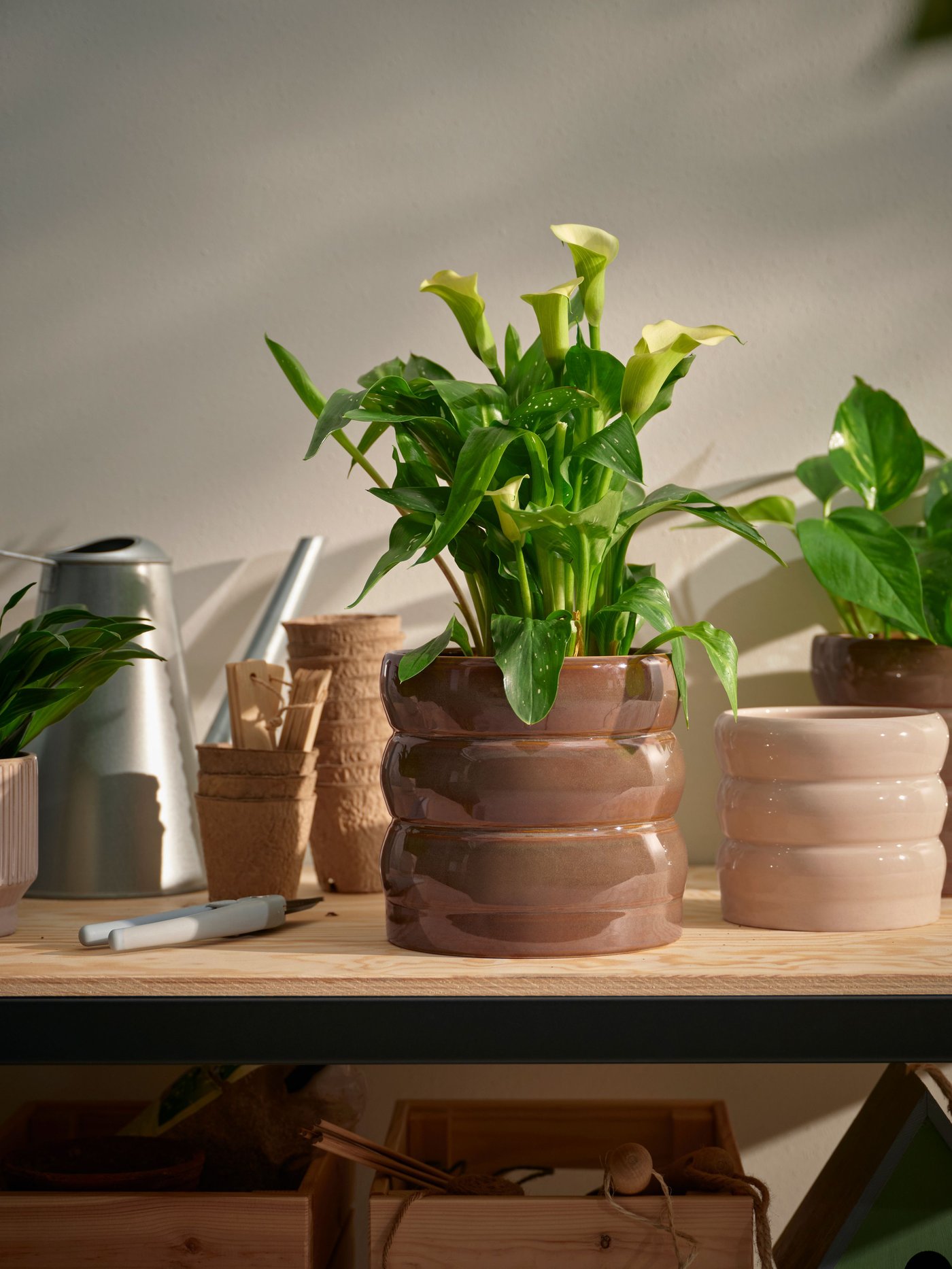 Plants in a HASSELBUKETT indoor plant pot with a HONUNGSPALM plant pot beside it.