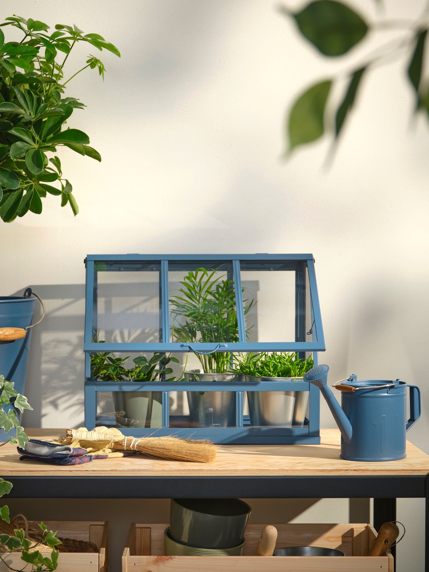 An in/outdoor dark blue ÅKERBÄR greenhouse