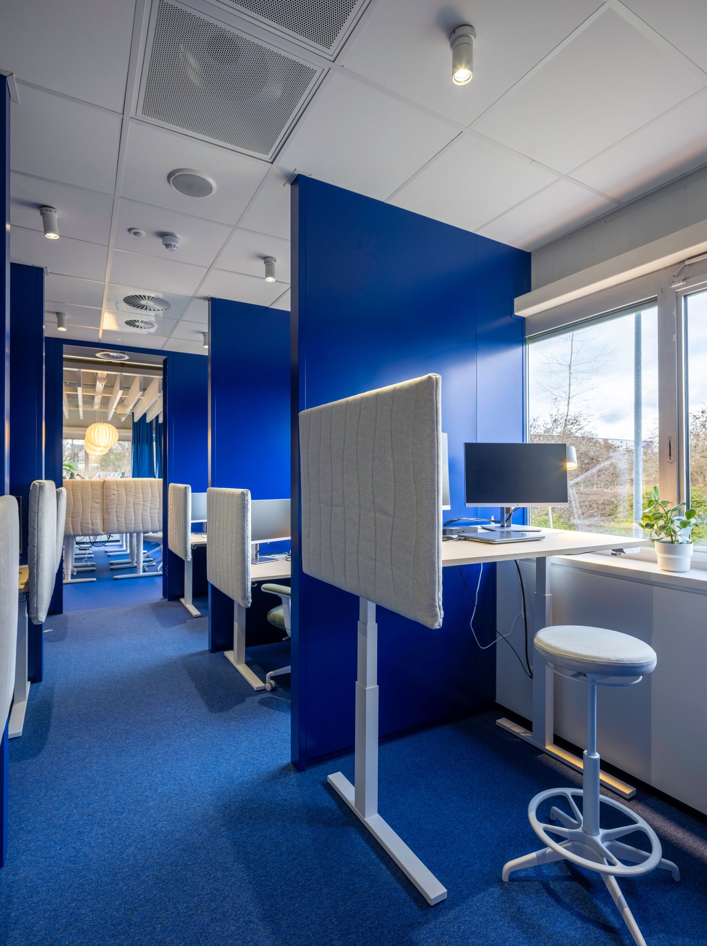 Une série de bureaux de concentration IKEA aux murs bleus, avec séparations acoustiques et sièges ergonomiques, crée un couloir calme pensé pour un travail concentré, sans interruptions.