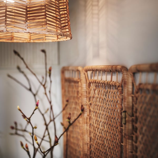 A rattan TOLKNING room divider against a wall with a KAPPELAND pendant lamp above it and some foliage in fromt.