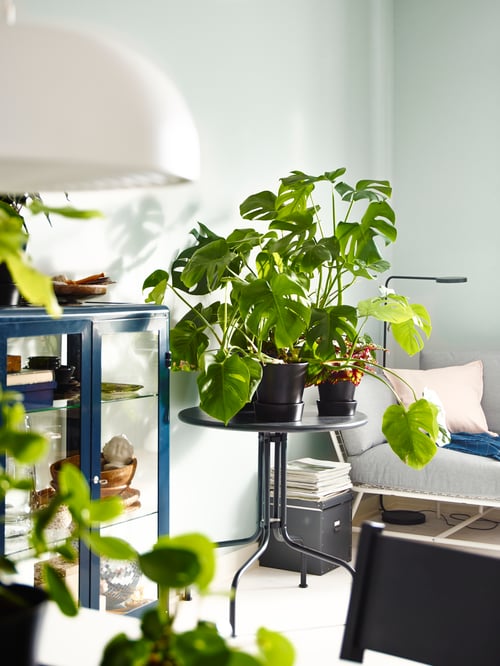 Une table d’extérieur LÄCKÖ grise de forme circulaire maintient les plantes en pot près d’un fauteuil bas et d’une armoire à portes de verre.
