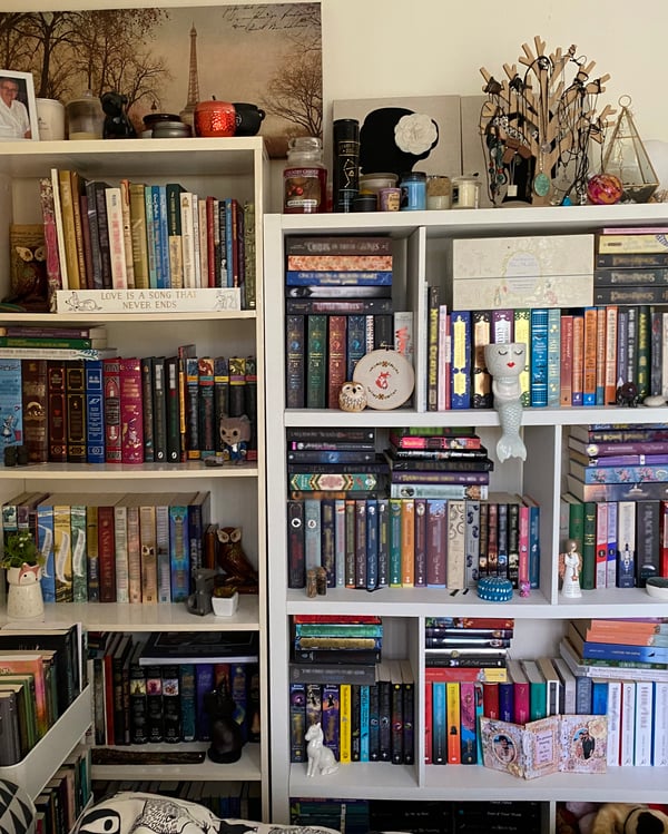 Blick auf ihre Regale voll mit Büchern.