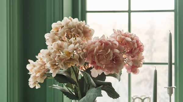 Pink and light pink SMYCKA artificial hydrangea flowers in front of a window.