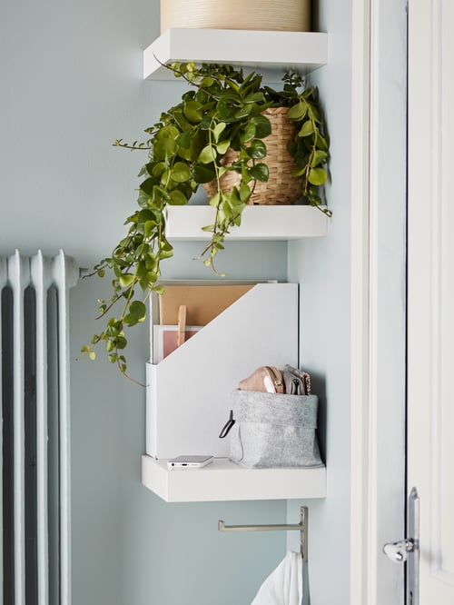 Three LACK white wall shelves with a green trailing plant in a basket, a white magazine file and various items on top.