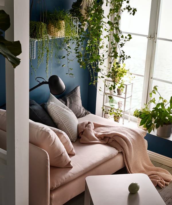 Chaise longue by a sunlit, tall window. Cushions, throw and reading lamp. Plants on the sill, hanging, and on wall shelves.