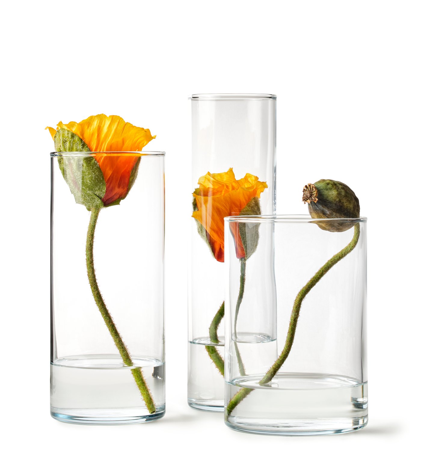 Tre sett vaser CYLINDER med noen blomster.