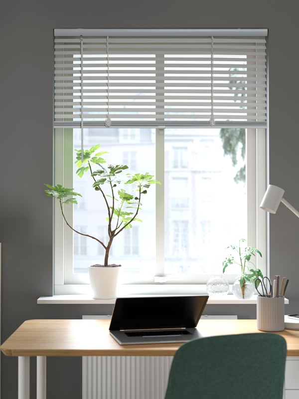 A white SOJABÖNA plant pot in front of a window dressed with VECKLARFLY blinds